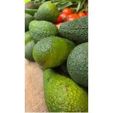 Avokado (Adet)
