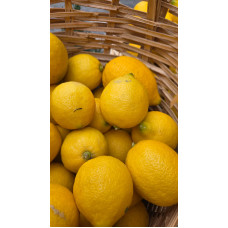 Limon